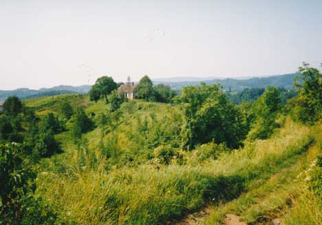 eika image